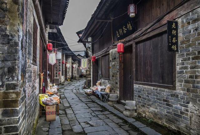 虫虫助手下载